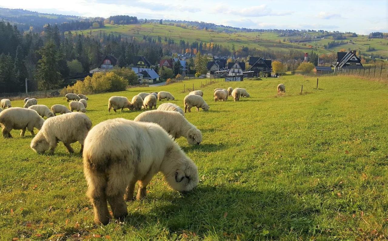 Villa Jagodovo Bialy Dunajec Biały Dunajec Exterior foto